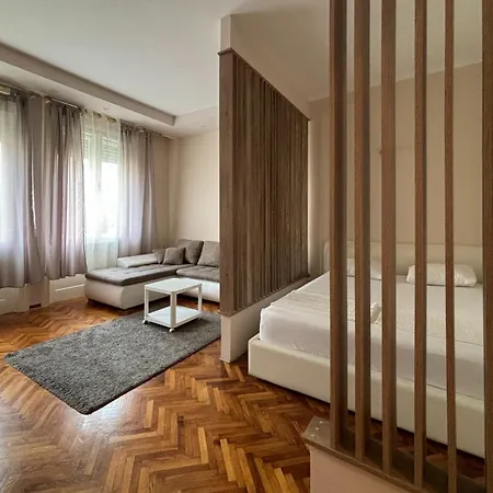 Central Apartment Close To Everything Novi Sad Exterior photo